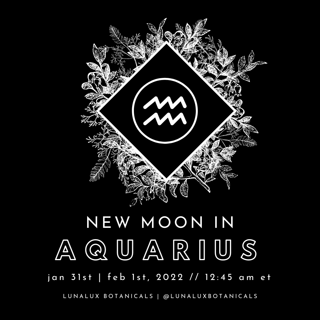 NEW MOON IN AQUARIUS - JANUARY 31ST / FEBRUARY 1ST, 2022